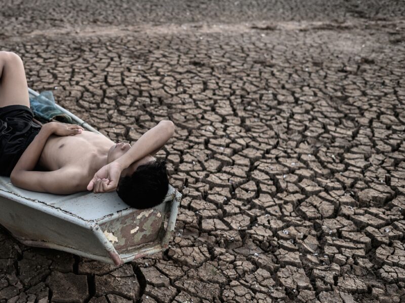 Amazônia como primeiro paciente: o prontuário que o Brasil revelou à COP30