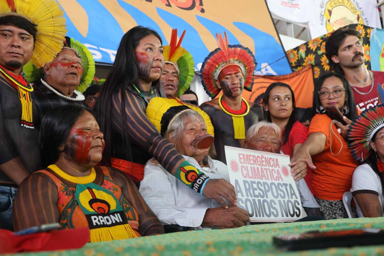 A floresta não é cenário. É personagem, é autora, é mãe