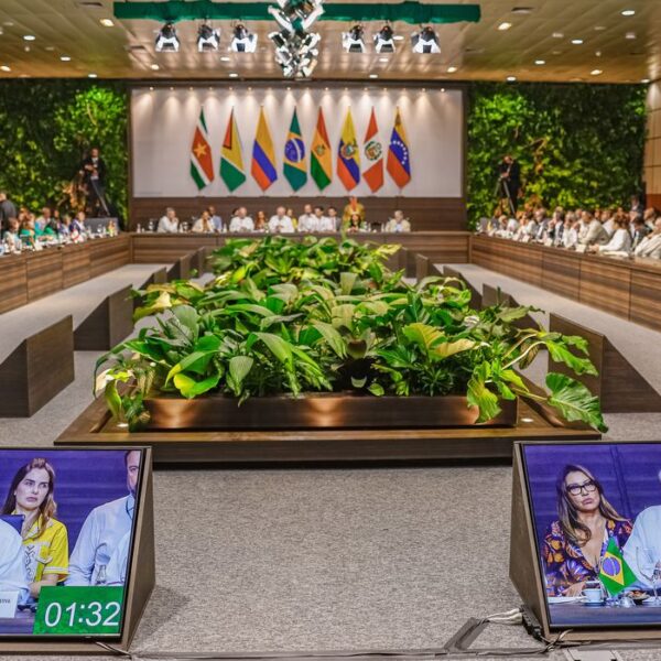 Diplomatic Amazon: from political isolation to global prominence