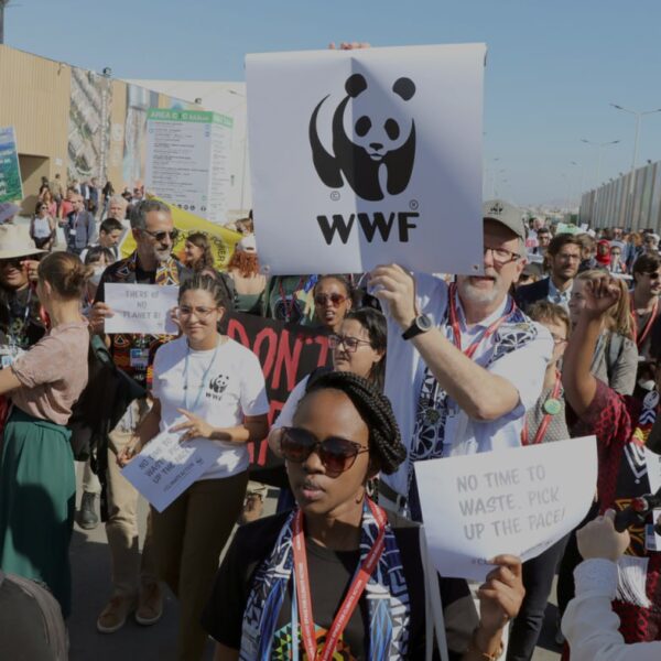 Belém foi um divisor de águas nas negociações internacionais, afirma diretor da WWF