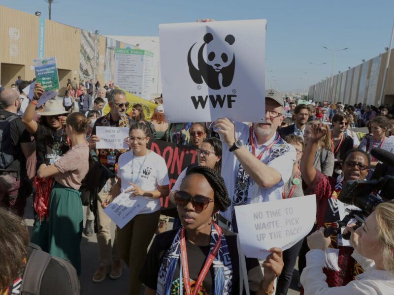 Belém foi um divisor de águas nas negociações internacionais, afirma diretor da WWF