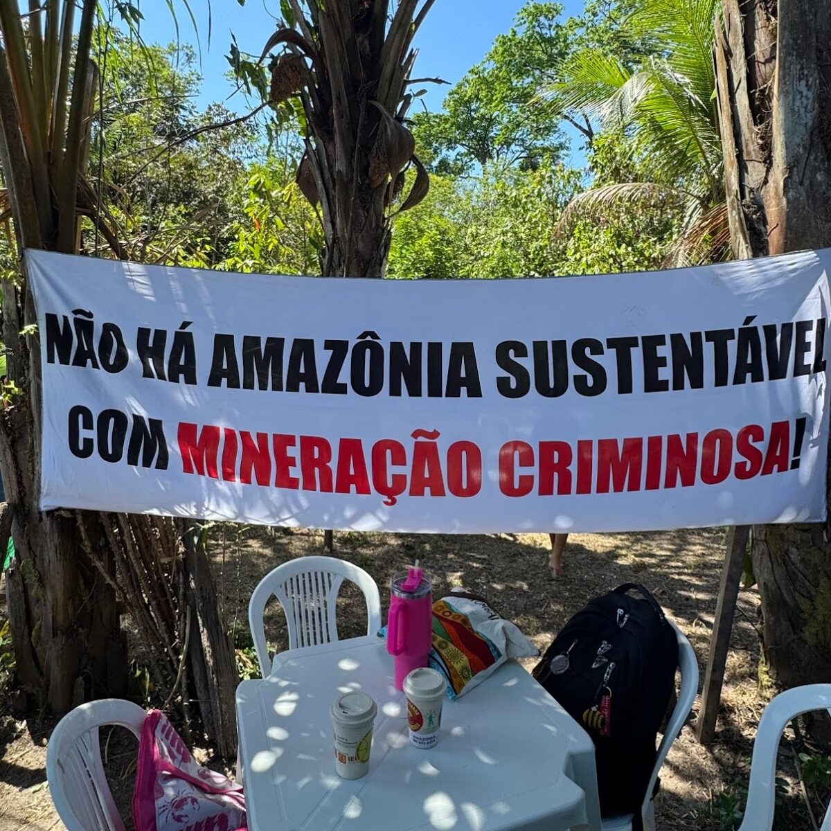 Os impactos ambientais das grandes empresas em Barcarena