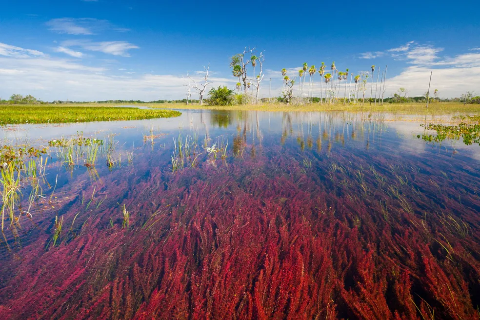 Foto: Daniel De Granville Manço