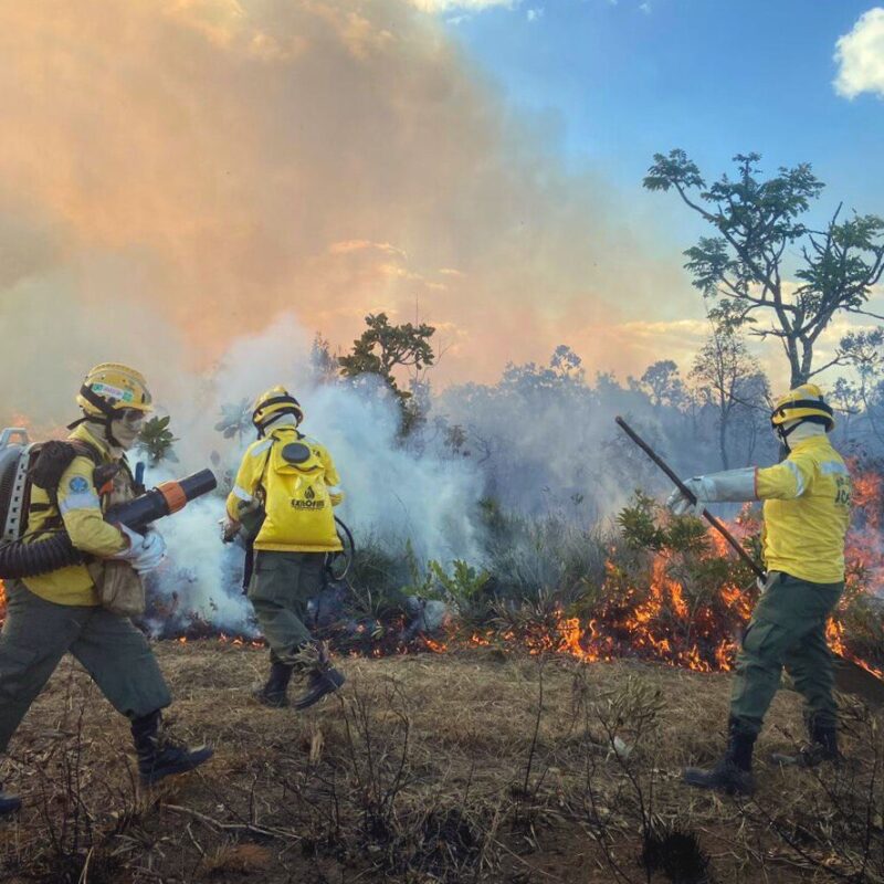 Berço das águas do Brasil e América do Sul, o Cerrado e seus povos ficam fora da COP30