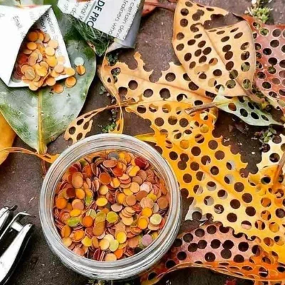 Confete sustentável é alternativa para um carnaval sem poluição