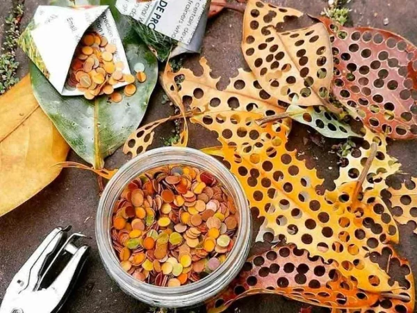 Confete sustentável é alternativa para um carnaval sem poluição