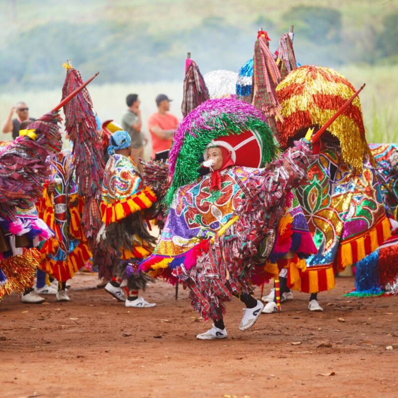 O “Quinto Elemento” do Carnaval: quando a arte vira educação popular