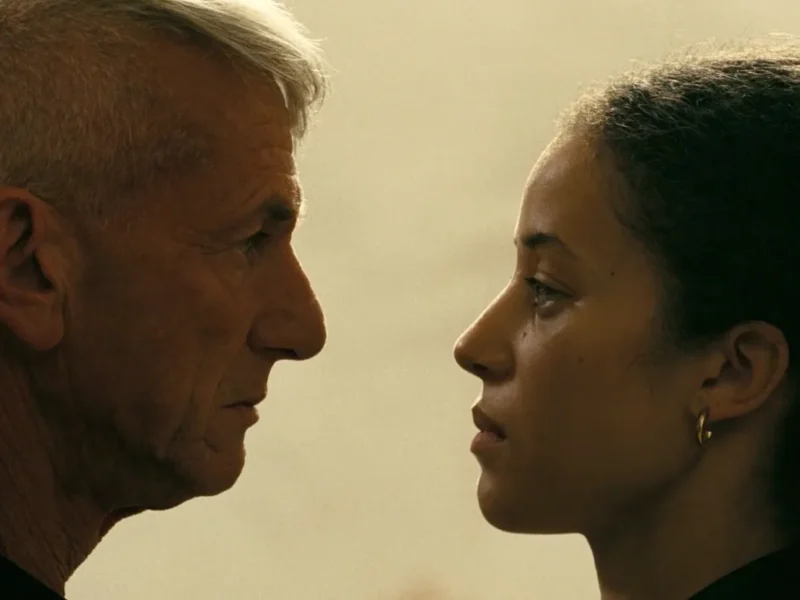 PCR portátil e teste de paternidade: o que a ciência diz sobre a cena de Uma Batalha Após a Outra