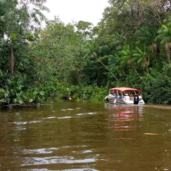  Ilha do Combu vive crise de água potável mesmo cercada por rio em Belém