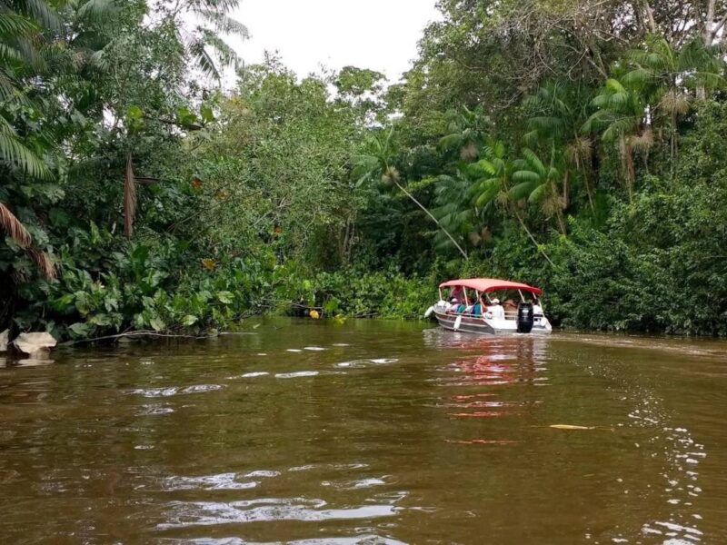  Ilha do Combu vive crise de água potável mesmo cercada por rio em Belém