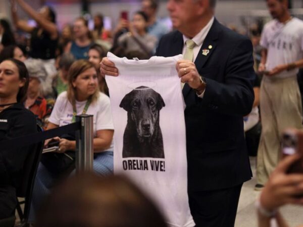 Governo publica decreto ‘Justiça por Orelha’ e eleva multas por maus-tratos a animais