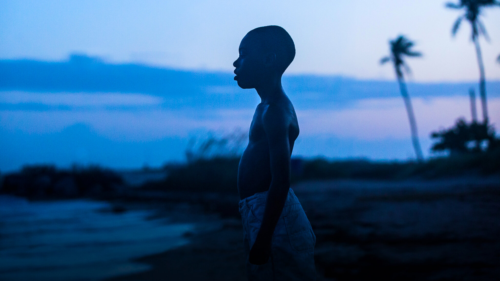 10 anos de “Moonlight”: enredo e estética do primeiro Oscar de Melhor Filme da A24
