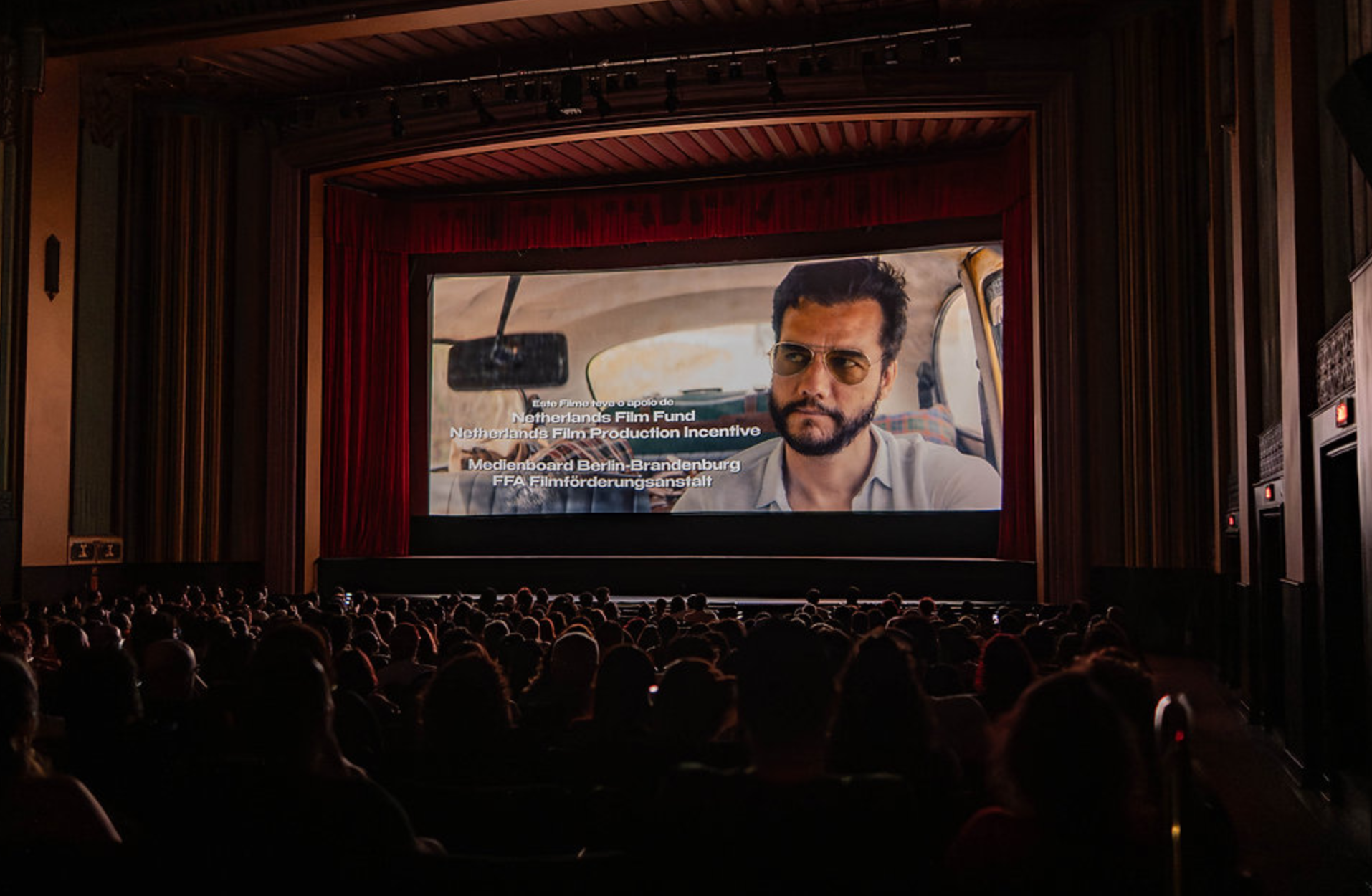 Vira-lata, não: o cinema brasileiro narra suas próprias histórias