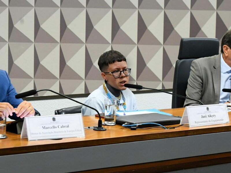 A luta climática também é trans e indígena