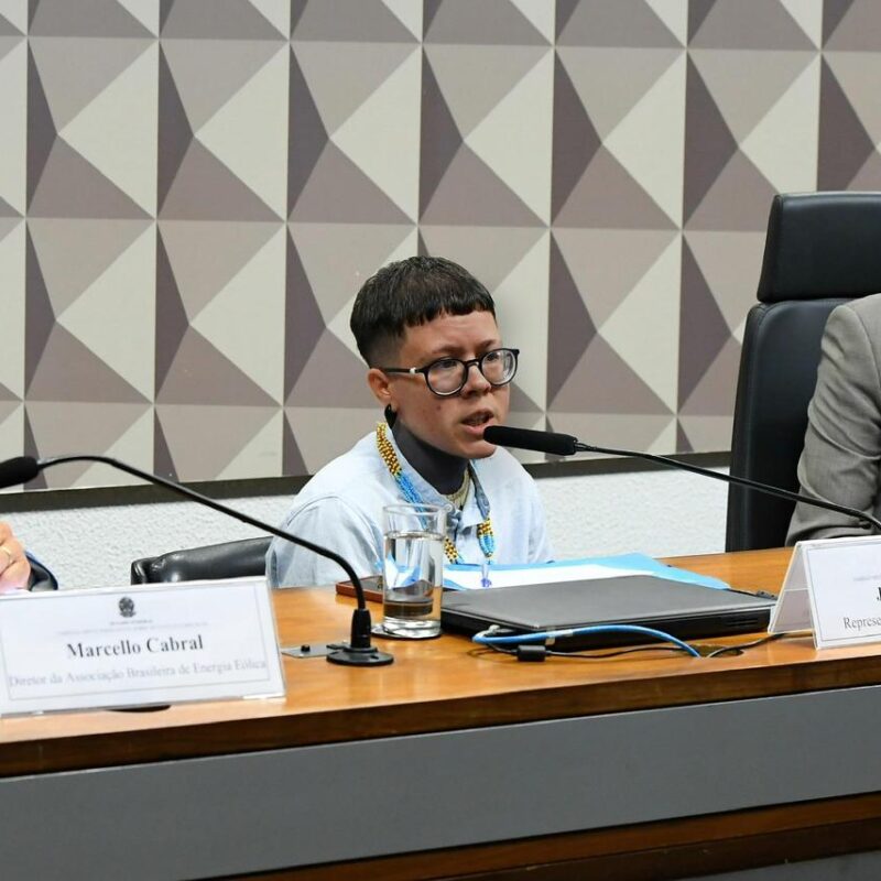 A luta climática também é trans e indígena