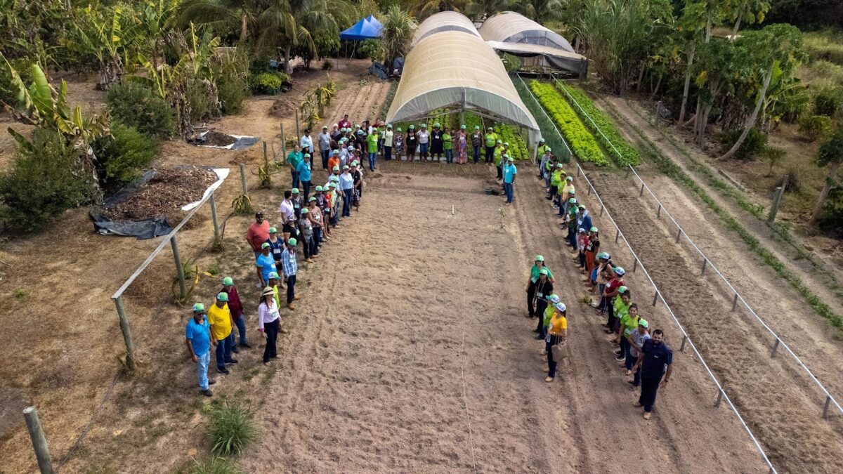 Iniciativa de certificação participativa mostra a força da agroecologia na Amazônia Mato-grossense