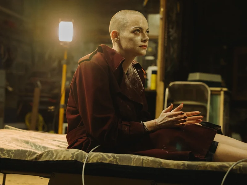 Bugonia: Mito e Cinema