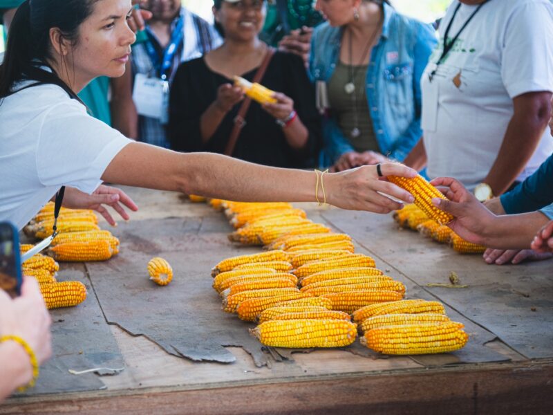 Produção agroecológica de bioinsumos em Sergipe aponta caminhos para a justiça climática