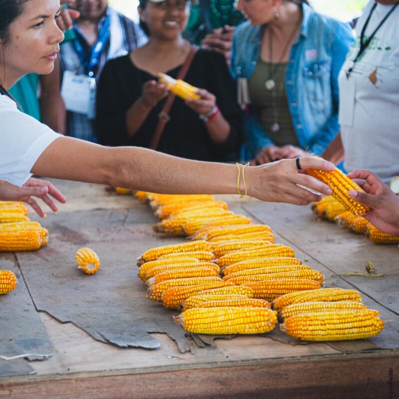 Produção agroecológica de bioinsumos em Sergipe aponta caminhos para a justiça climática