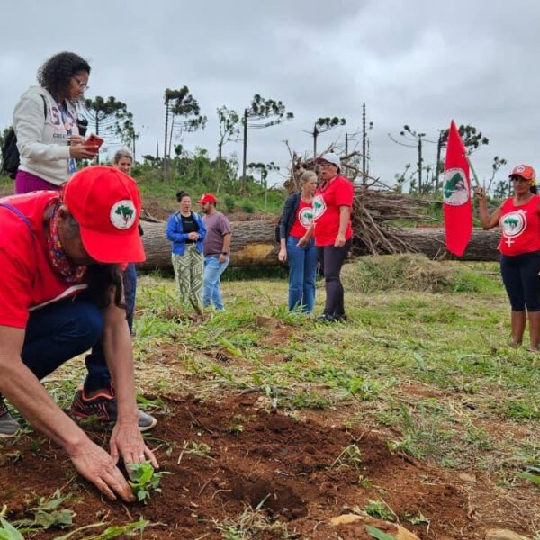 Mulheres do MST plantam 10 mil mudas de árvores durante Jornada de Lutas, no Paraná