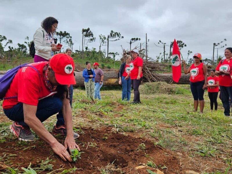 Mulheres do MST plantam 10 mil mudas de árvores durante Jornada de Lutas, no Paraná