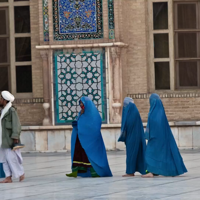 Nos cinemas: Confira os filmes que entram em cartaz nesta quinta (23)