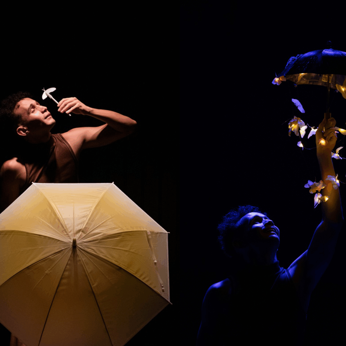 “Borboletas bebem lágrimas de tartarugas”: pesquisa da Amazônia inspira espetáculo de teatro