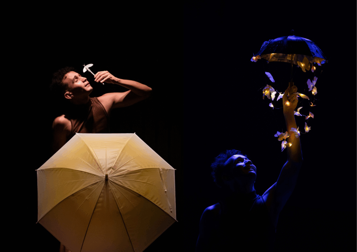 “Borboletas bebem lágrimas de tartarugas”: pesquisa da Amazônia inspira espetáculo de teatro