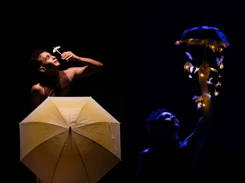 “Borboletas bebem lágrimas de tartarugas”: pesquisa da Amazônia inspira espetáculo de teatro