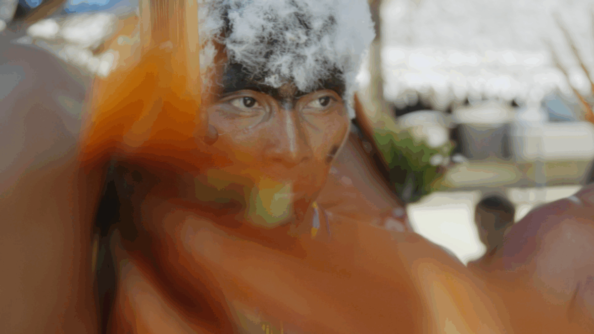 Cine Ninja Indica: 19 filmes sobre território, memória e resistência indígena