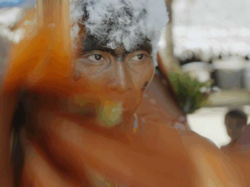 Cine Ninja Indica: 19 filmes sobre território, memória e resistência indígena