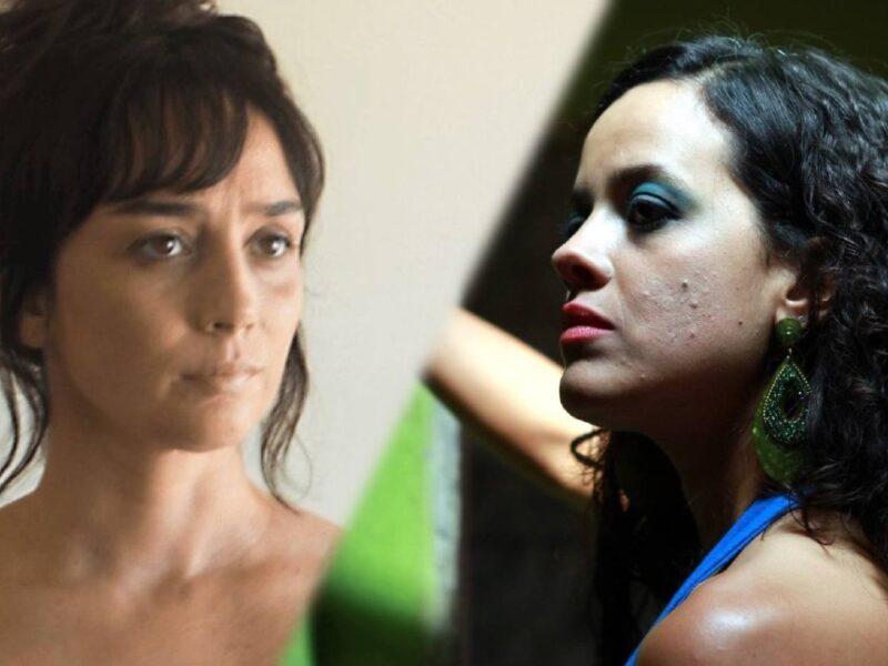 ‘O Livro dos Prazeres’ e ‘Amor, Plástico e Barulho’: duas formas de encenar o desejo