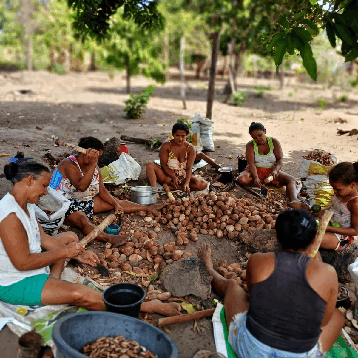 São Luís recebe exposição fotográfica de povos e comunidades tradicionais do Maranhão em junho