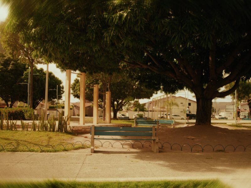 ‘A Mesa’ transforma a natureza em protagonista de um cotidiano em colapso