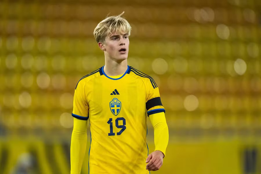 Lucas Bergvall: o jovem sueco que conquistou a Internet na Copa do Mundo