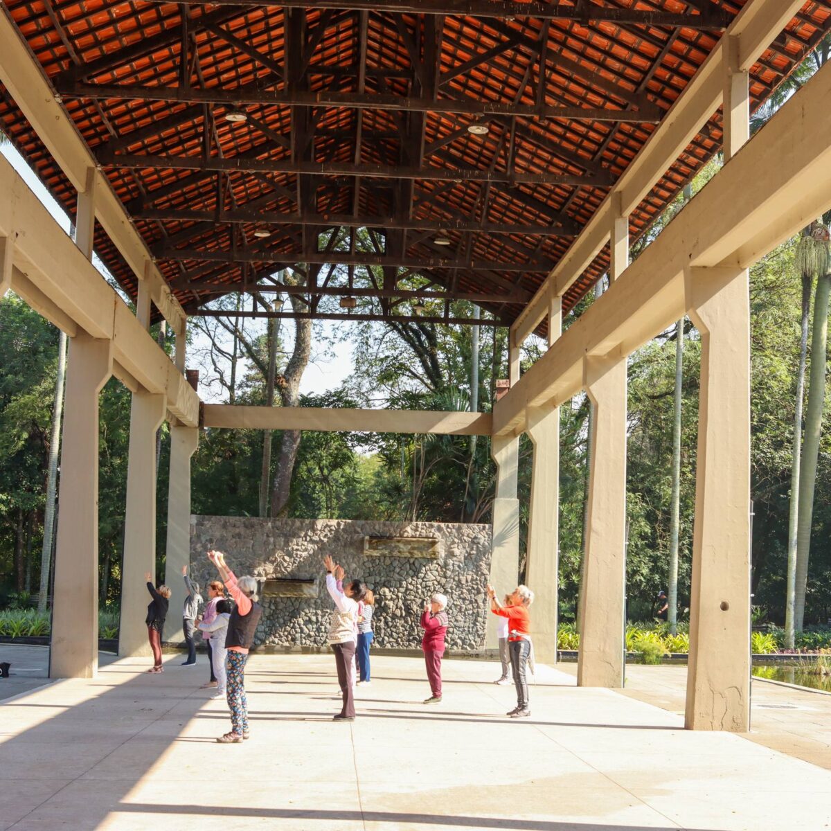 Sociedade civil se mobiliza contra projeto de transformar serraria do Ibirapuera em academia privada