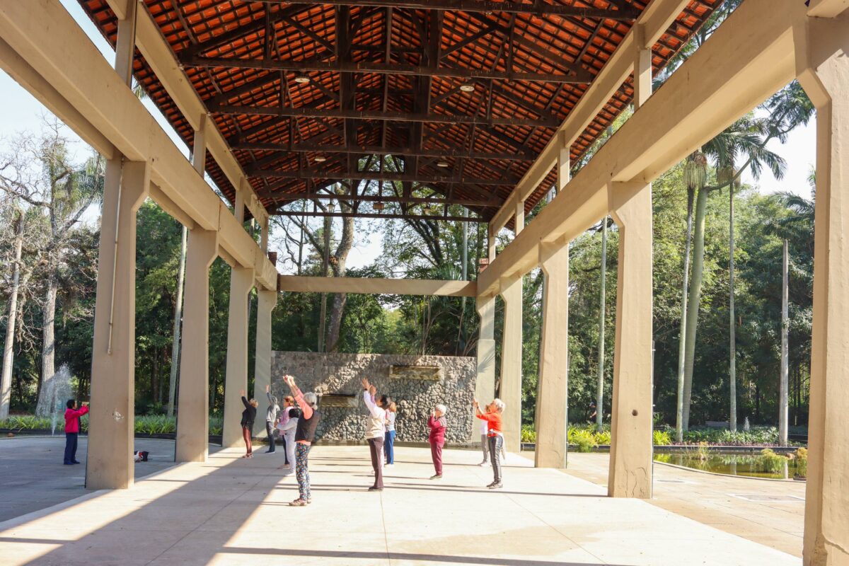Sociedade civil se mobiliza contra projeto de transformar serraria do Ibirapuera em academia privada
