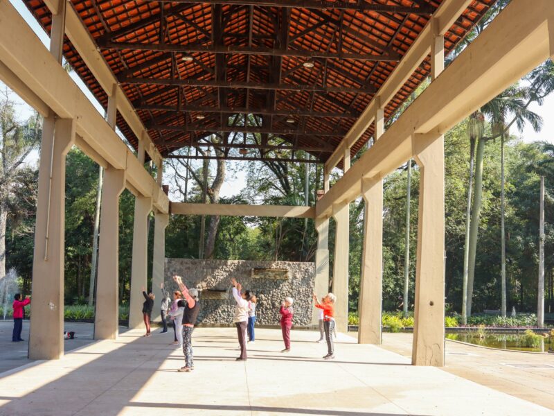 Sociedade civil se mobiliza contra projeto de transformar serraria do Ibirapuera em academia privada