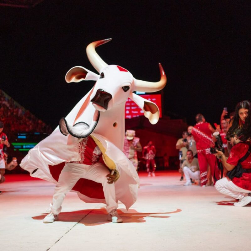 Garantido aposta na ancestralidade e encantos de Parintins no Festival de 2026
