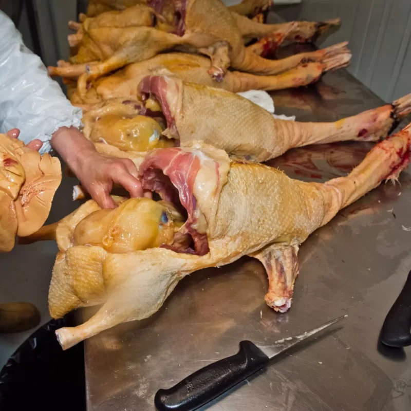 Causa animal: Foie Gras pode estar com os dias contados no Brasil