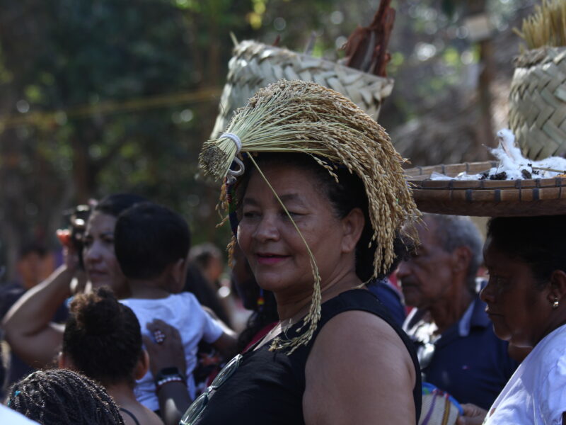 Dos troncos velhos brotam às resistências: presente e passado no 17º Encontrão da Teia de Povos e Comunidades Tradicionais do Maranhão